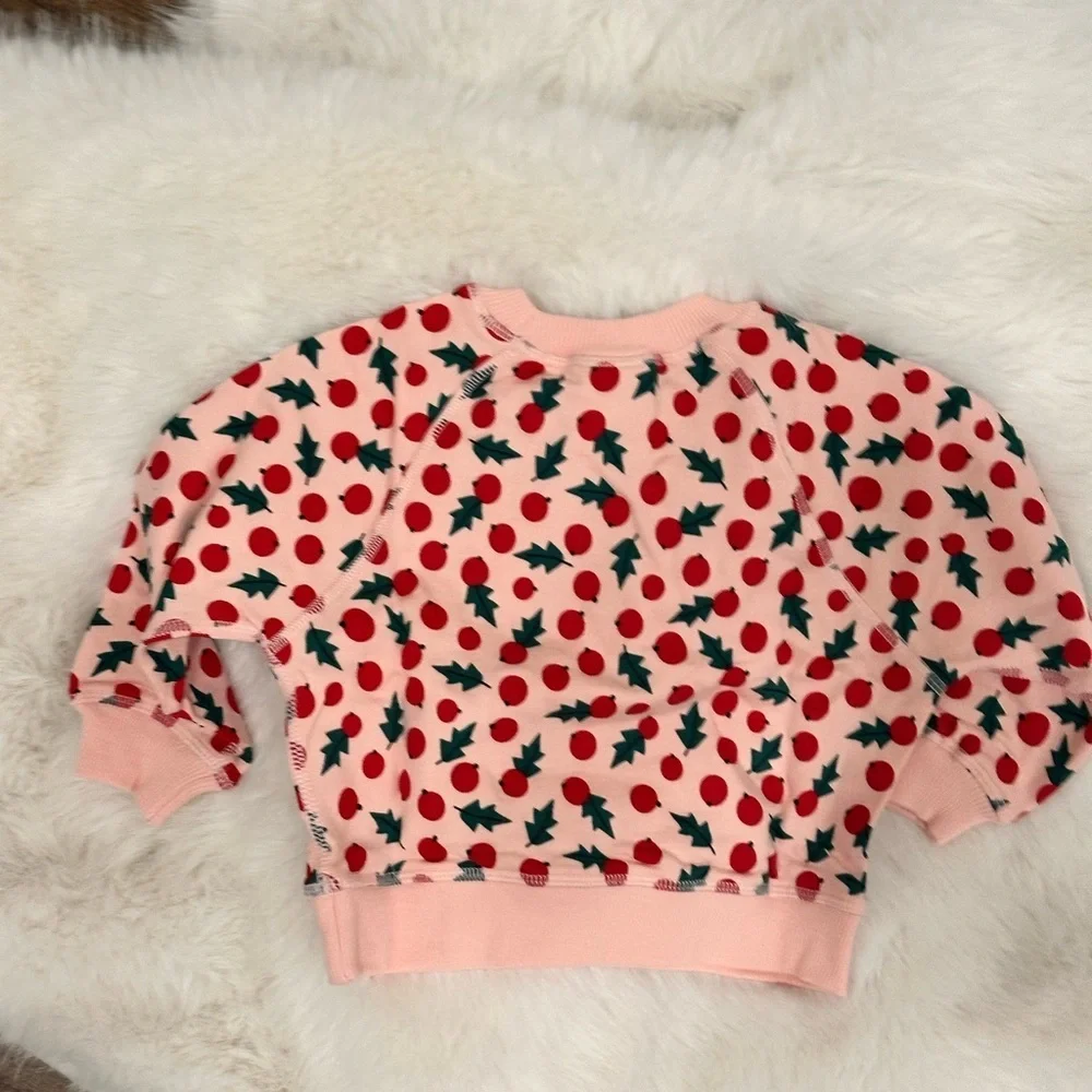 NWT Hanna Andersson Pink Holly Berry Christmas Holiday Festive Sweatshirt 2T